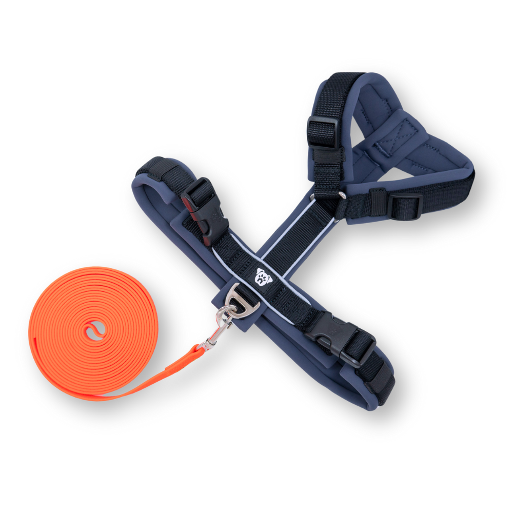 PACK Paseo Ideal - Neon & Black