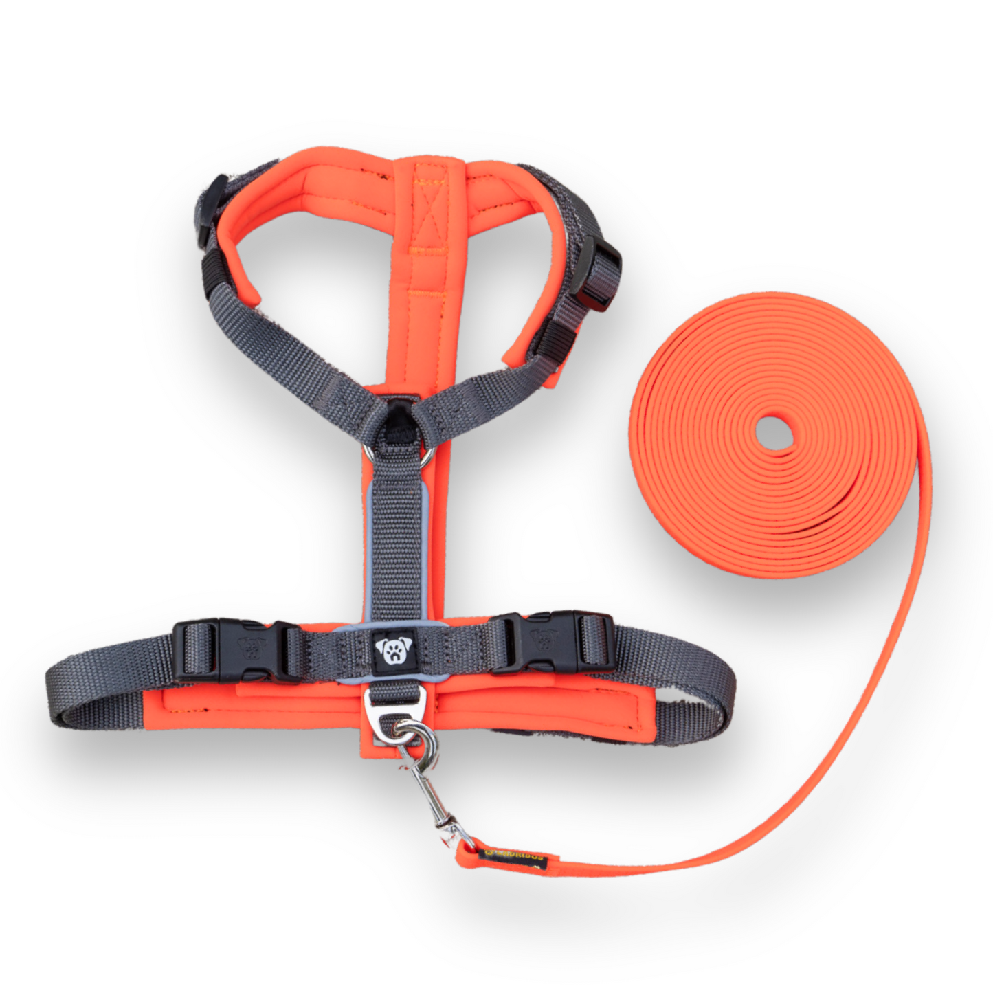 PACK Paseo Ideal - Neon