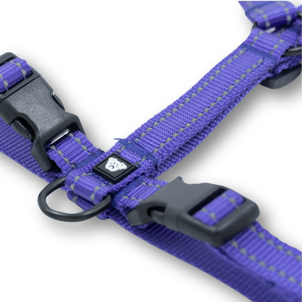 Arnés Ladridos Mini - Morado
