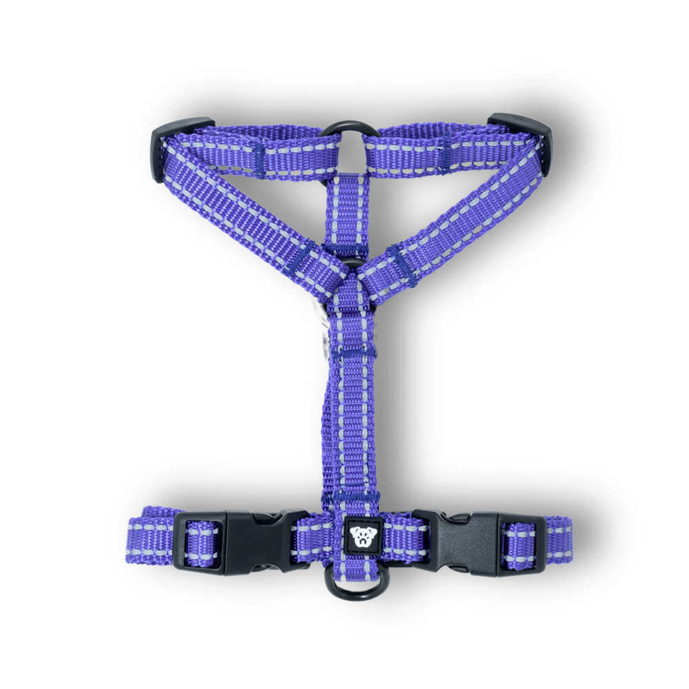 Arnés Ladridos Mini - Morado