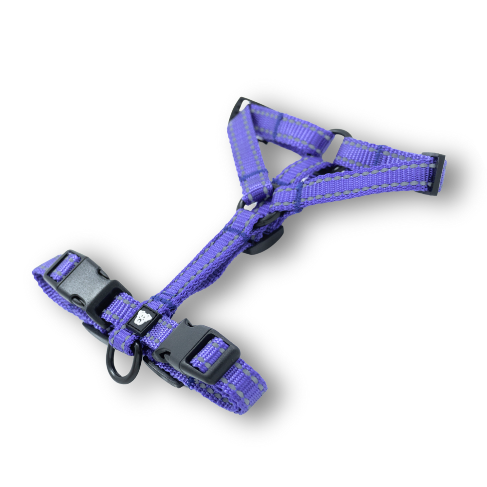 Arnés Ladridos Mini - Morado