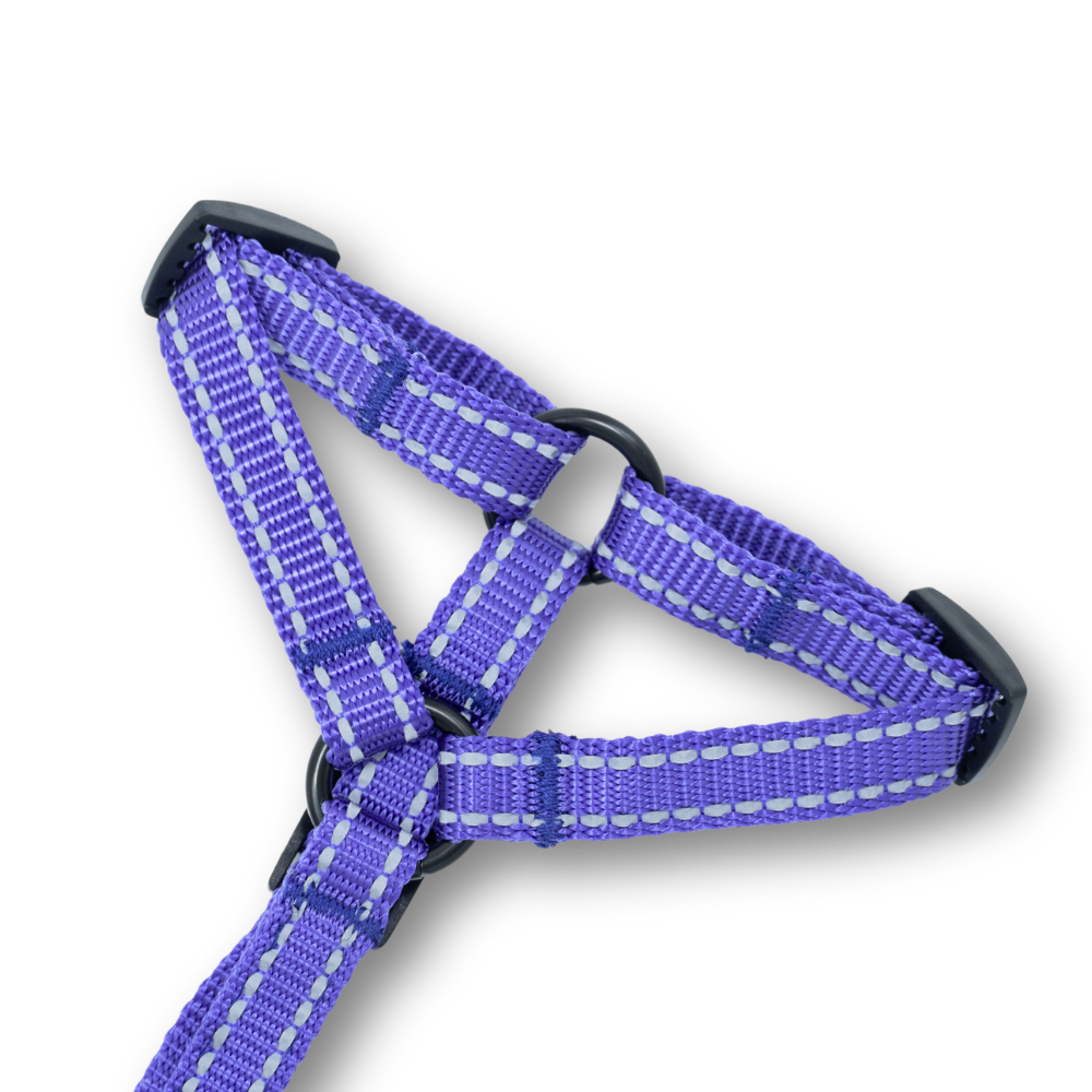 Arnés Ladridos Mini - Morado
