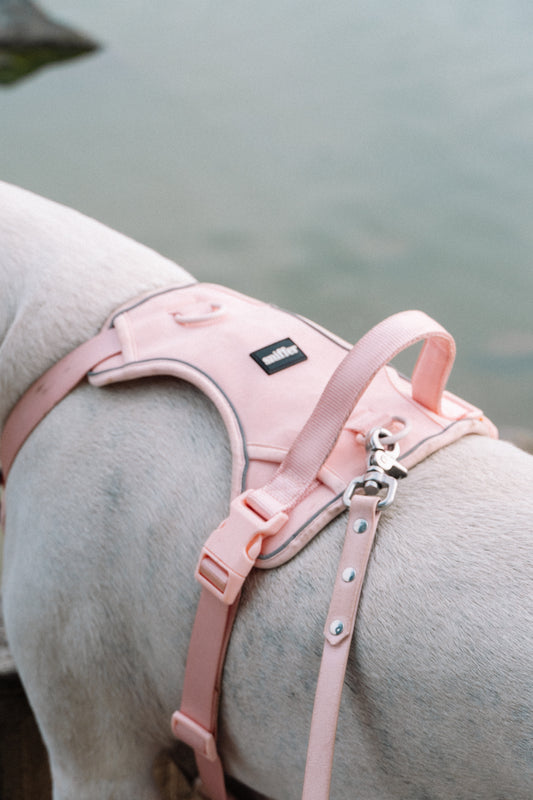 Arnés Sniffer Flex - Rosado