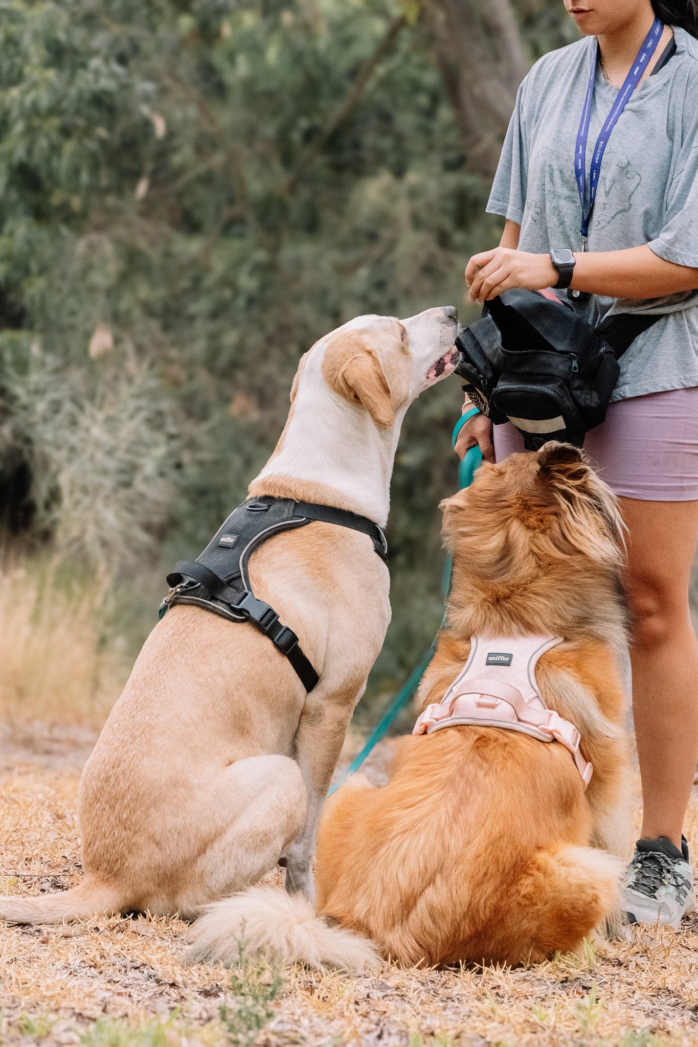 Arnés Sniffer Flex - Negro