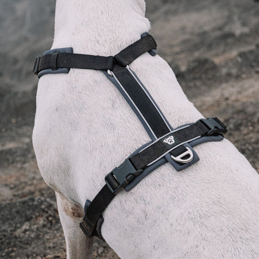 Arnés Ladridos Sport - Negro