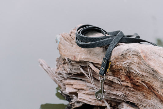 Correa Ladridos Classic Black (5 metros)