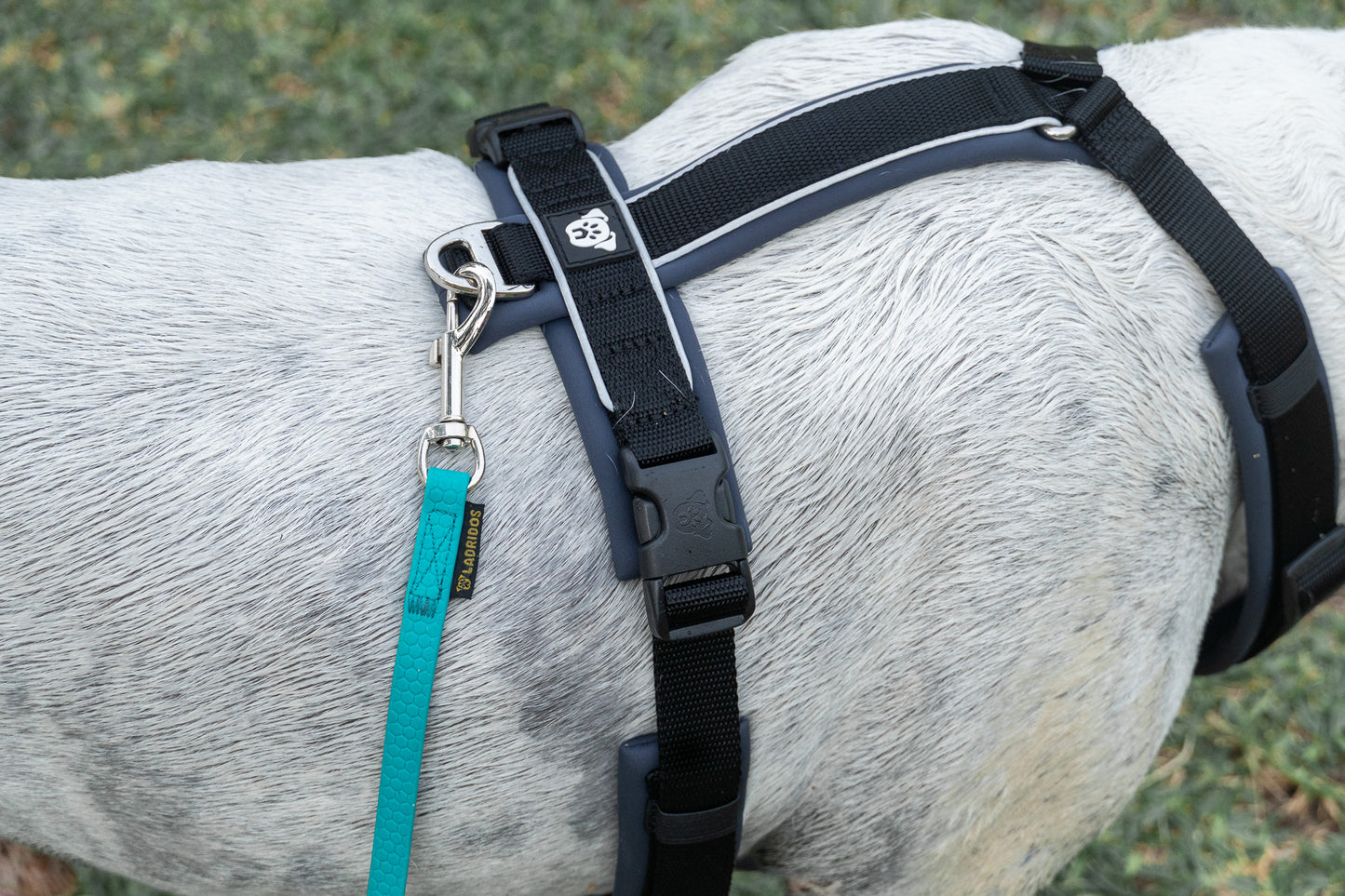 PACK Paseo Ideal - Turquesa & Black