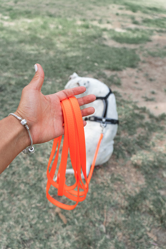 Correa Ladridos Classic Neon (5 metros)