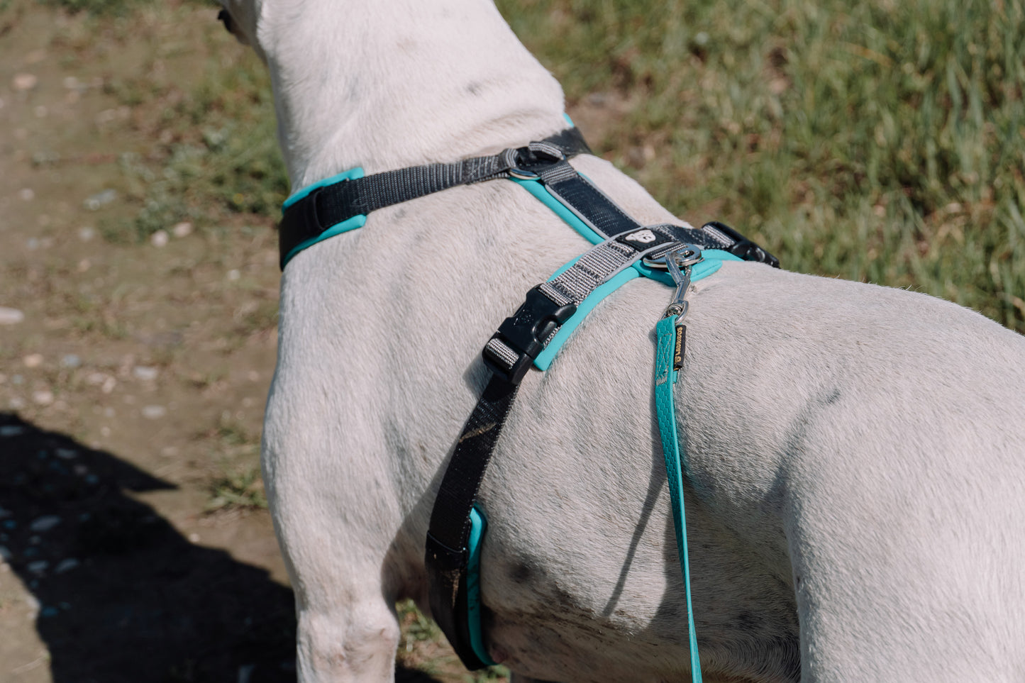 PACK Paseo Ideal - Turquesa