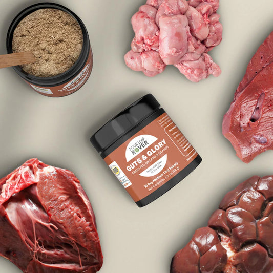 Guts & Glory - Mix de Vísceras