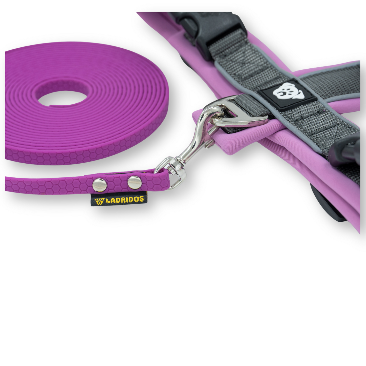 Correa Ladridos Mini Violeta (5 metros)