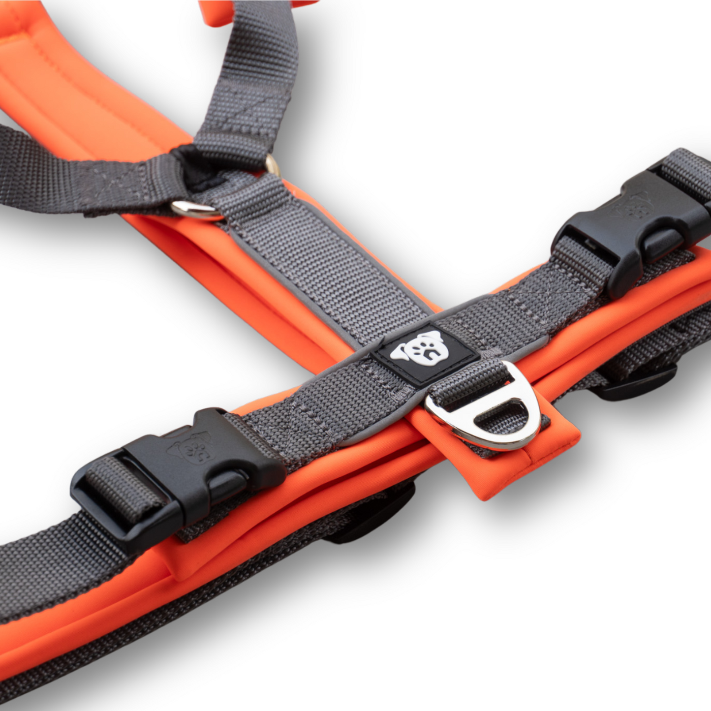 Arnés Ladridos Sport 2.0 - Neon