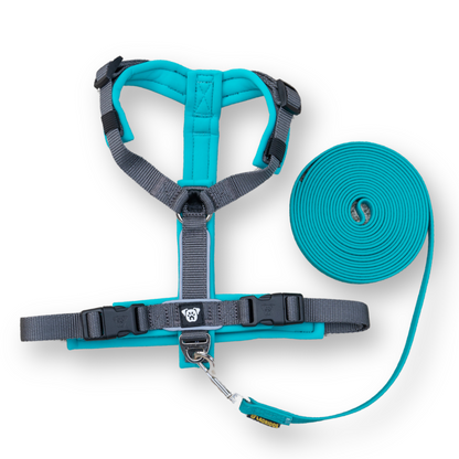 PACK Paseo Ideal - Turquesa