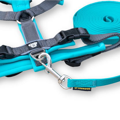 PACK Paseo Ideal - Turquesa