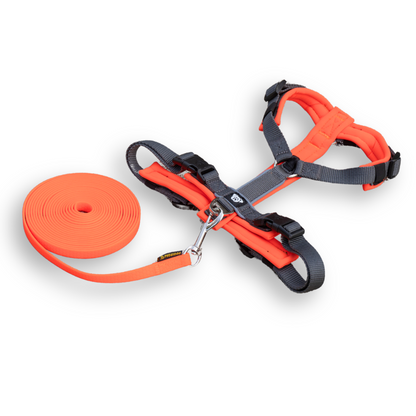 PACK Paseo Ideal - Neon
