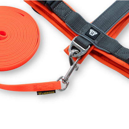 PACK Paseo Ideal - Neon