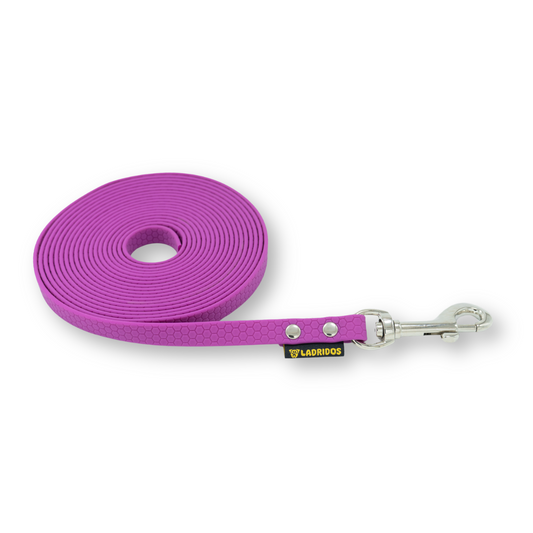 Correa Ladridos Classic Violeta (5 metros)