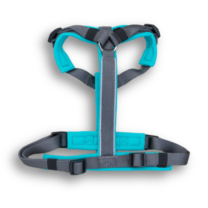 Arnés Ladridos Sport 2.0 - Turquesa